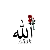 سیم کارت919خط تهران