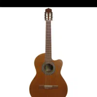 پارسی کاتوی پیکاپ دار  گیتار m5 cat