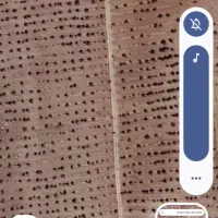 فروش 2دانگ از باغ بادام 8هکتاری  با 3هزار نهال با