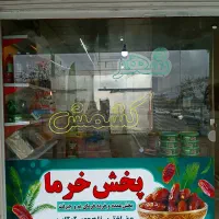 فروش انواع خرما تازه امسال