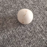 سنگ الماس آسیاب