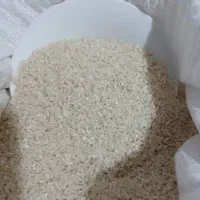 نیمدانه هاشمی یکدست