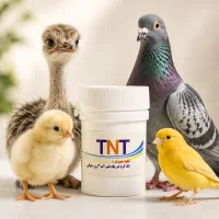 داروی TNT(بمب سلامتی) تی ان تی انواع پرندگان