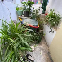 فروش|فروش خانه و ویلا|رشت, جماران|دیوار