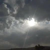 فروش  فوری زمین بردگپی