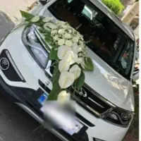 تیگو 5 کم کار