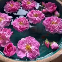 سفر یکروزه کاشان
