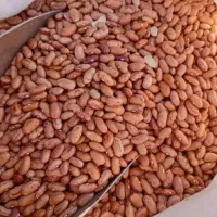 تمیز پاک شده