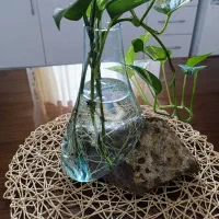 گلدان شیشه ای جدید