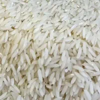 فروش برنج طارم هاشمی اعلا|خوردنی و آشامیدنی|قائم‌شهر, |دیوار
