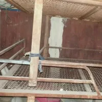 دوتخت آهنی ۶ نفره