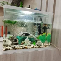 اکواریوم با لوازم|ماهی|ایلام, |دیوار