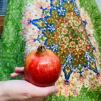 سفره و رومیزی های بی نظیر