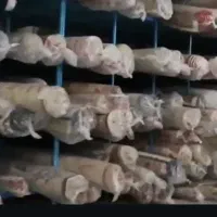 قالیشویی نجف اباد تیران رضوانشهر