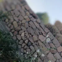 راهنمایی محله مناسب