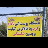 پوست گیری بادام و گردو