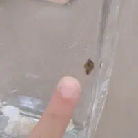 حلزون آب شیرین