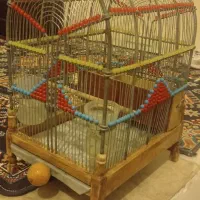 قفس شیک  تزیینی