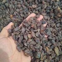 کشمش و مویز