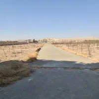 زمین شهرکی آینده دار|فروش زمین و ملک کلنگی|محمدشهر, محمدشهر|دیوار