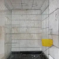 قفس کاسکویی 1033|لوازم جانبی حیوانات|خرمشهر, |دیوار