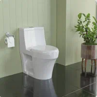 توالت فرنگی چینی کورد