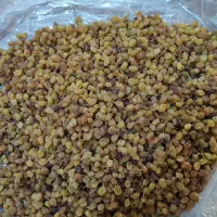 کشمش افتابی ارگانیک