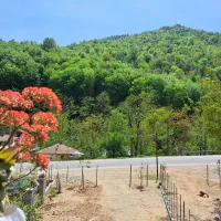 ویلا نوساز در جاده ماسوله|اجارهٔ کوتاه‌مدت ویلا و باغ|ماسوله, |دیوار