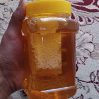 خشکبار و لبنیات|خوردنی و آشامیدنی|نیشابور, شهرک رسولی|دیوار