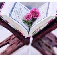علت مشکل سرکتاب تضمینی