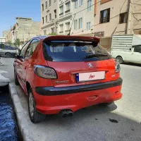 ۲۰۶ تیپ۲ گوجه ای|خودرو سواری و وانت|تهران, عباسی|دیوار