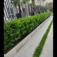 خدمات باغبانی در سراسر کرج پذیرفته میشود