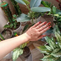 خدمات ناخن فقط هزینه مواد