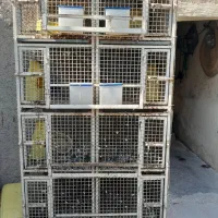 جفت گاه کبوتر