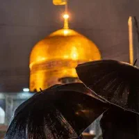 تور کیش * تور مشهد مقدس * تور قشم