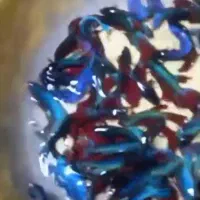 فایترهای زیبا و خواص