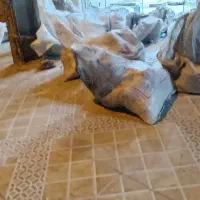 ماسه