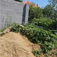 دوبر طارگوراب ۵۹۰ متر آسفالت،دیوار پروانه.قسطی|فروش زمین و ملک کلنگی|طاهرگوراب, |دیوار