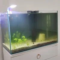 آکواریوم طرح ریملس