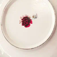 دیس سفالی سایز بزرگ|ظروف سرو و پذیرایی|قائم‌شهر, |دیوار