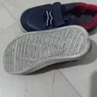 کفش کتونی برند پلو سایز ۲۴|کفش و لباس بچه|تهران, سازمان برنامه جنوبی|دیوار