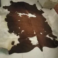 فرش پوست گاو چرم طبیعی|فرش|مشهد, وکیلآباد|دیوار