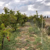 فروش باغ ۷۰۰ متری|فروش زمین و ملک کلنگی|فردوس (خراسان), |دیوار