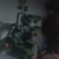 تلوزیون آپلاس 43نیازمند السیدی