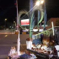 قطع نخل درباغ ومنزل
