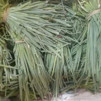 سبزی خورشتی  آبپز سرخ شده|خوردنی و آشامیدنی|اهواز, کوروش|دیوار