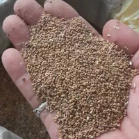 بزریونجه درجه یک