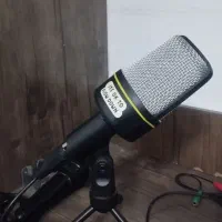 دو عدد میکروفون