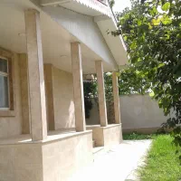 ۳۹۱مترسنددارخشکبیجلر