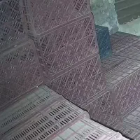 سبد انار